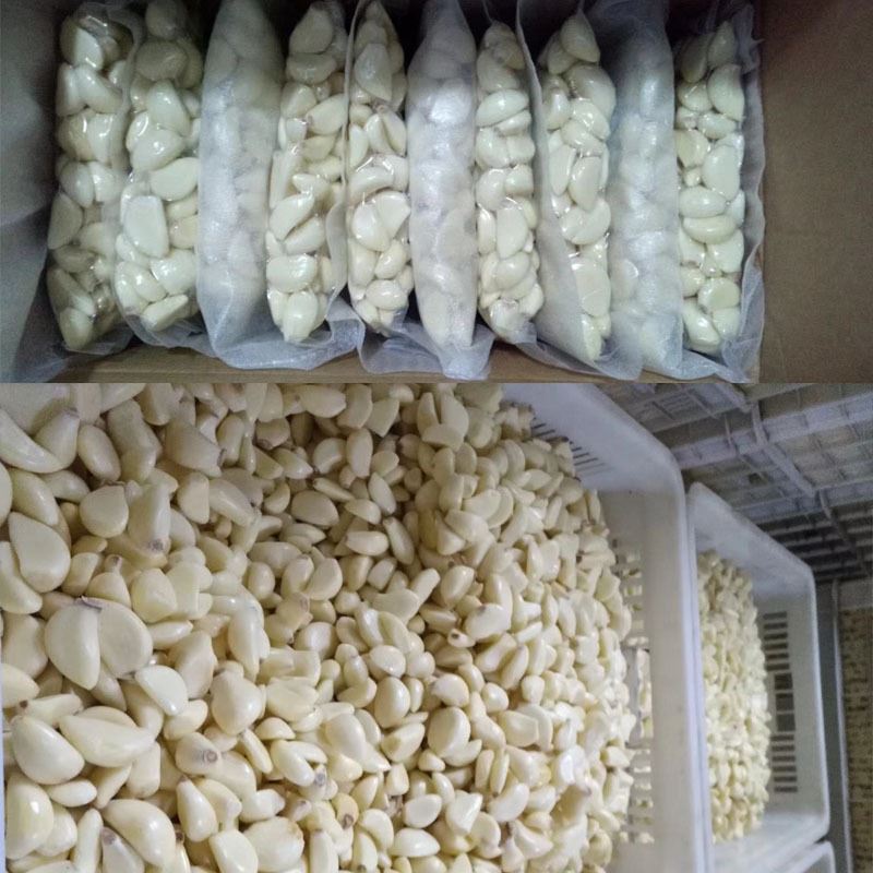 garlic peeler