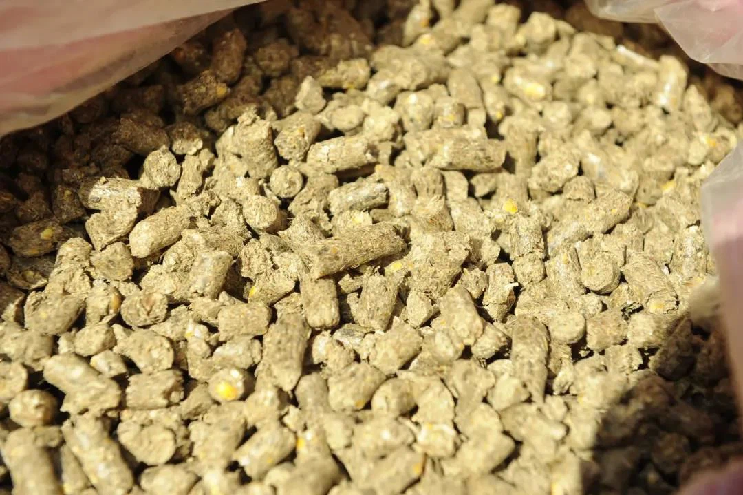 pountry feed machine2