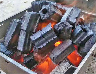 charcoal briquette machine2