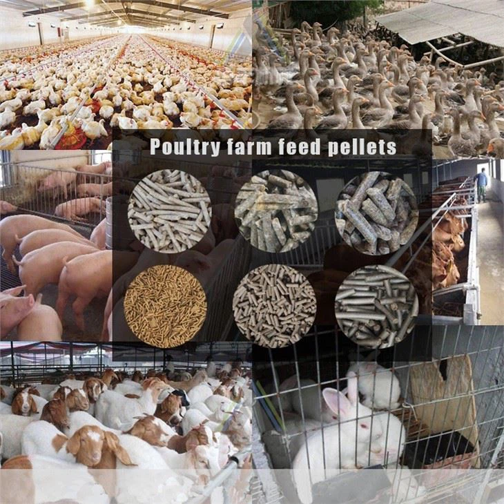 Small Feed Pellet Machine suppliers